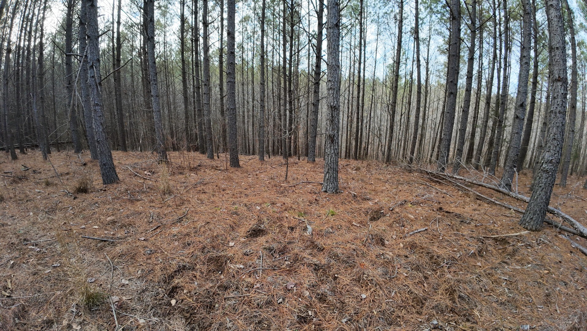 240 Brookstone Dr