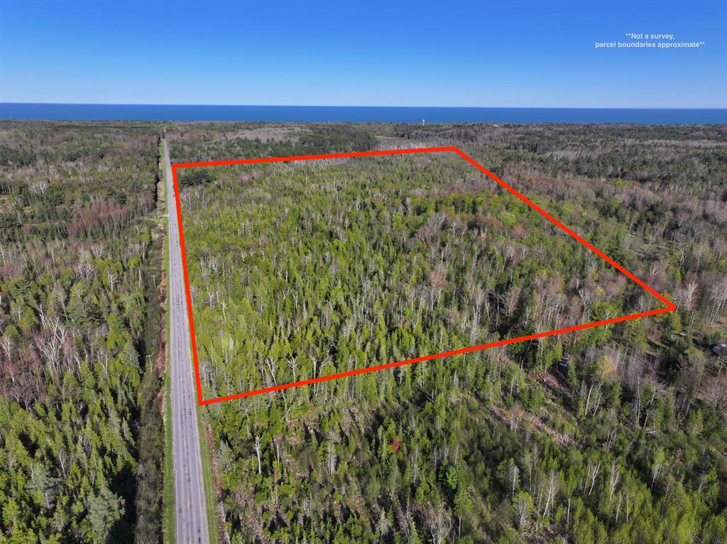 Take a look at this prime 60-acre tract in Alcona County! Whether you're after a recreational getaway, hunting property, future homestead, or solid investment, this place checks all the boxes. The land features a nice mix of timber and terrain, with Mill Creek winding through the property--offering both scenic beauty and fishing possibilities. The seller has caught a 14-inch brook trout out here, which speaks to the creek's potential!There's deer and turkey sign everywhere, and the hunting potential is through the roof. With the seller reporting great success in years past. As the crow flies, you're less than 1.75 miles from Lake Huron, which only adds to the appeal.If you're looking for a phenomenal large-acreage parcel just outside of Harrisville, I highly recommend giving this one a lookyou won't be disappointed!

**Also includes parcel #060-011-200-011-00** Current use is Hunting,Recreational.