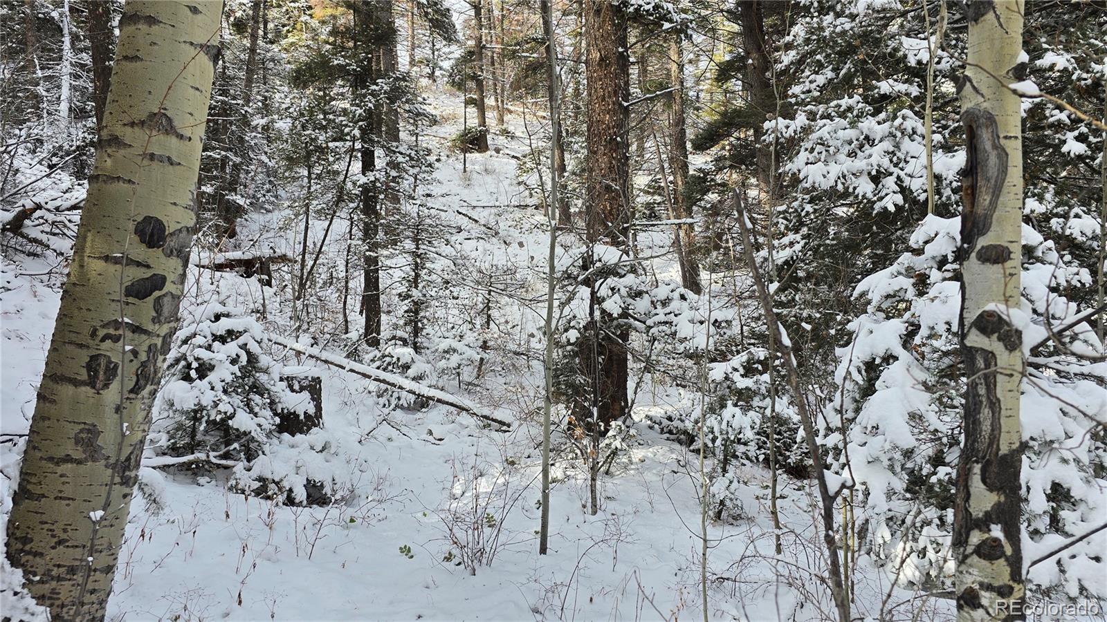 Lot 5540 Joy Road