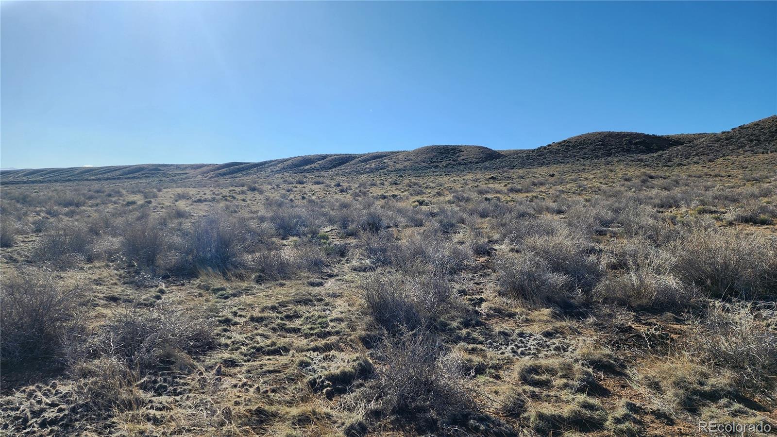 Lot 44 Collins Court