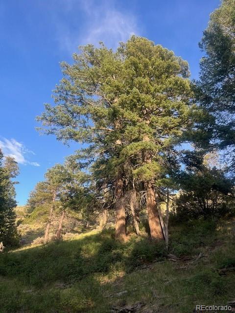 Lot 4630 Spring Road