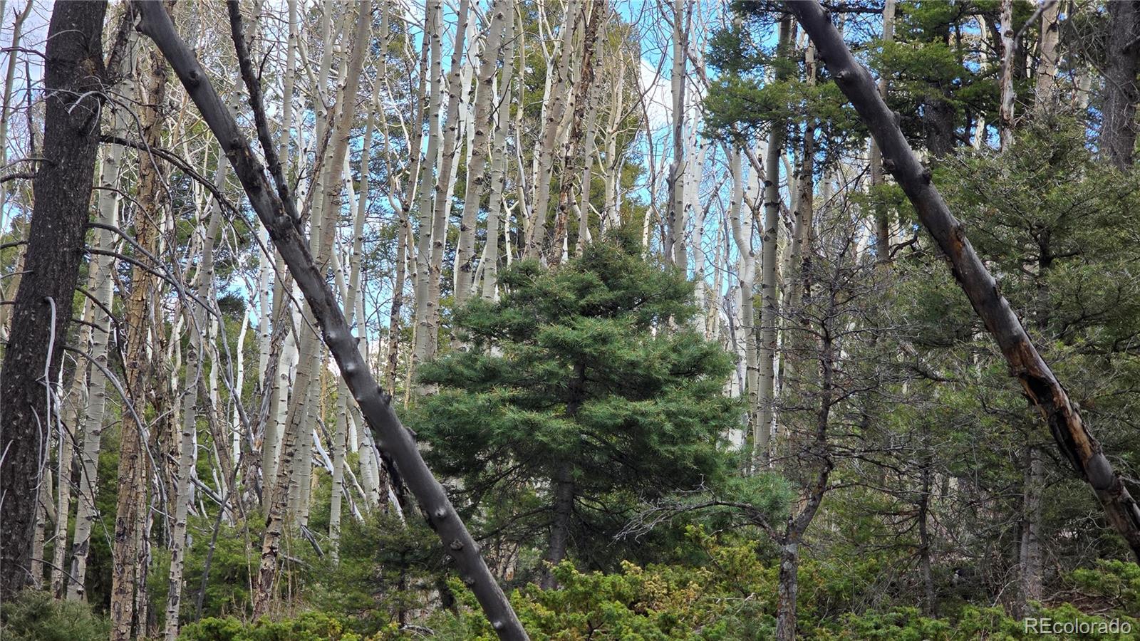 Lot 5261 Scott Road