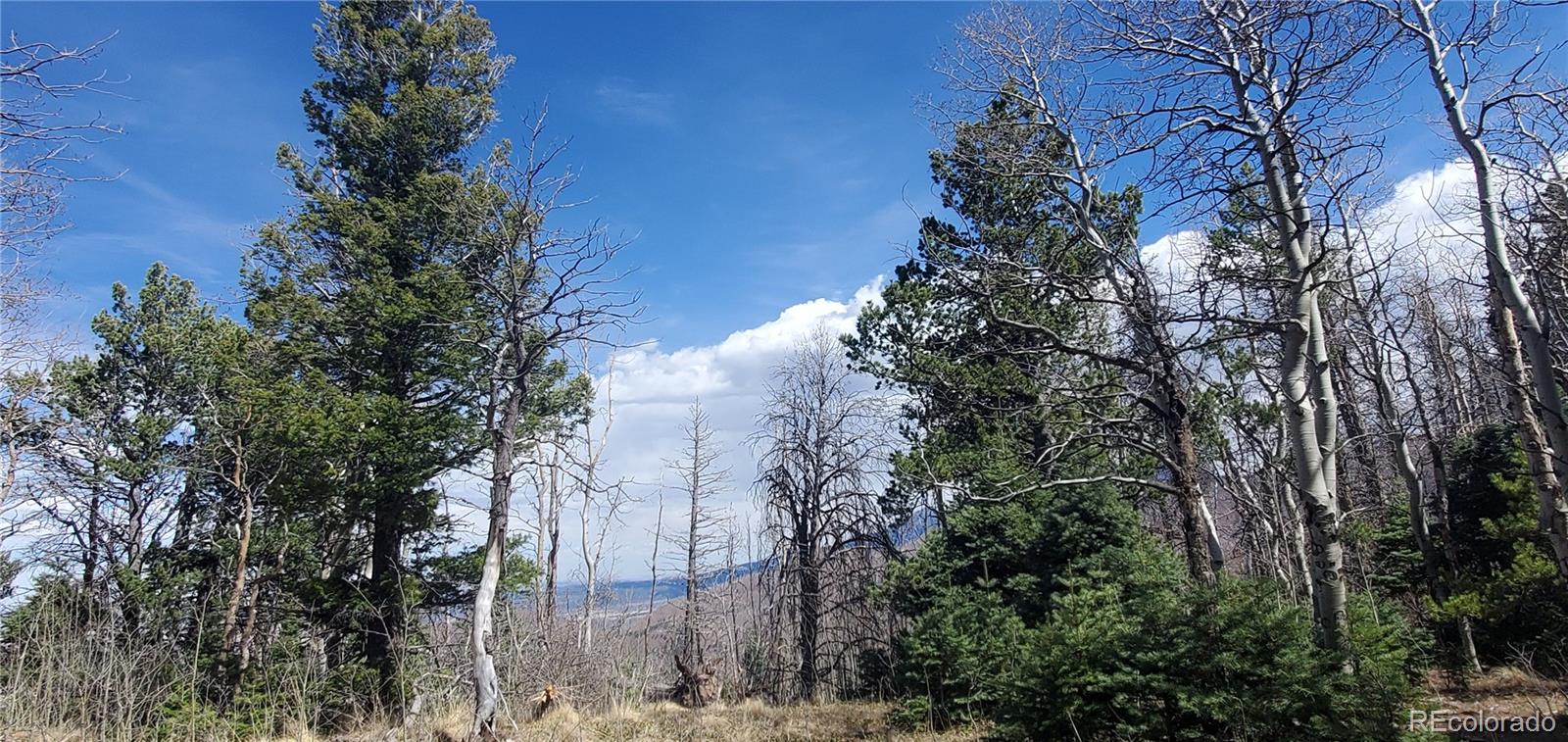 Lot 2560 Grojean Drive