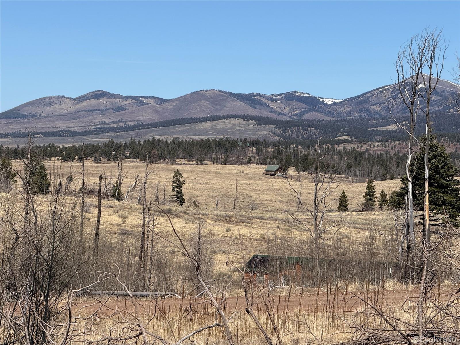 Lot 999 Foy Place