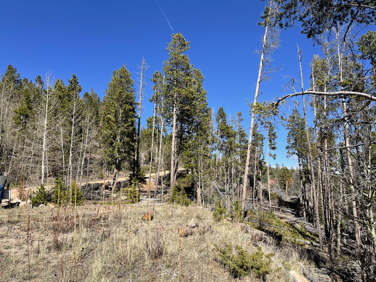 66 Piegan Ct