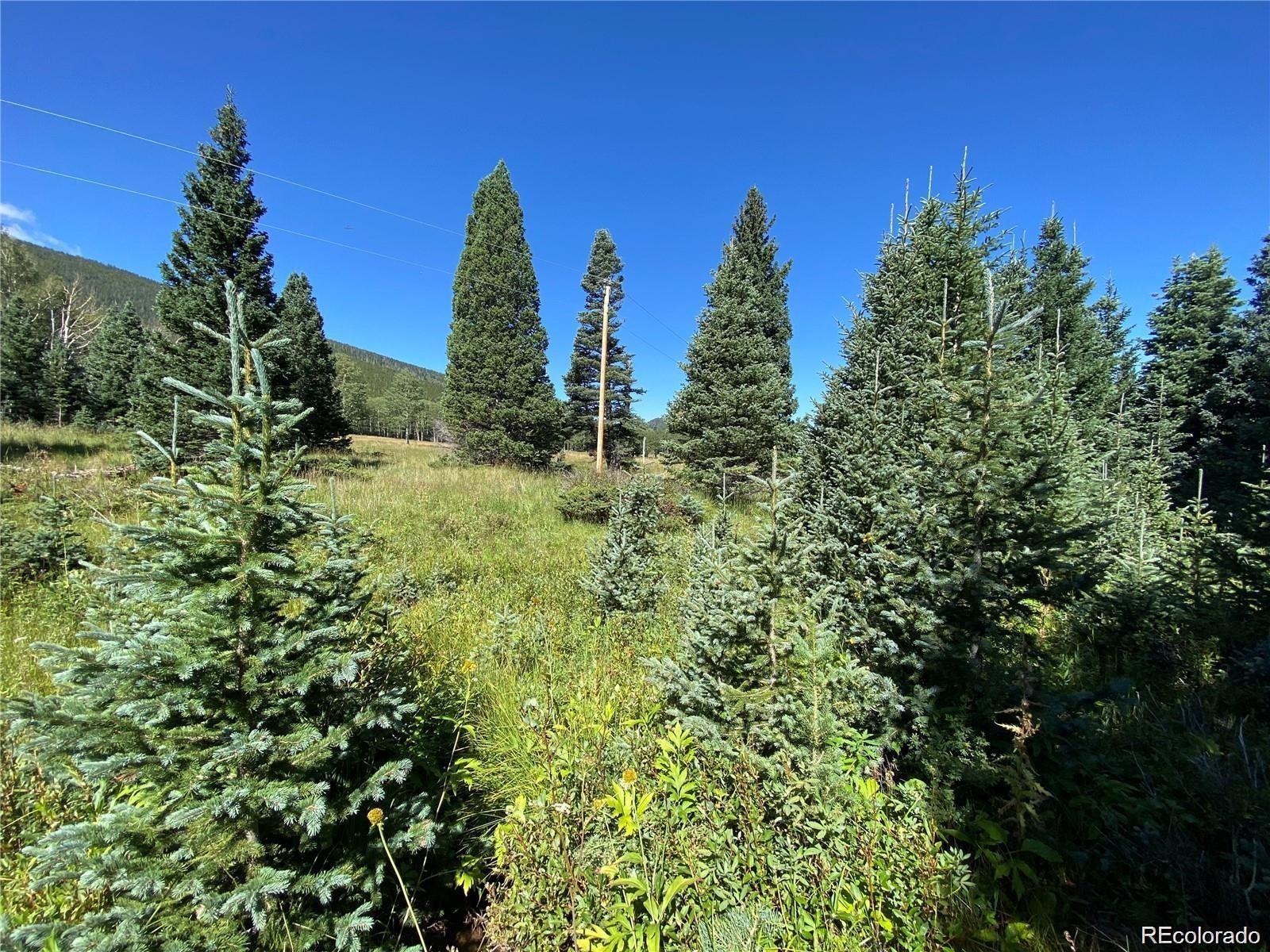 Lot 3141 Forbes Loop Road