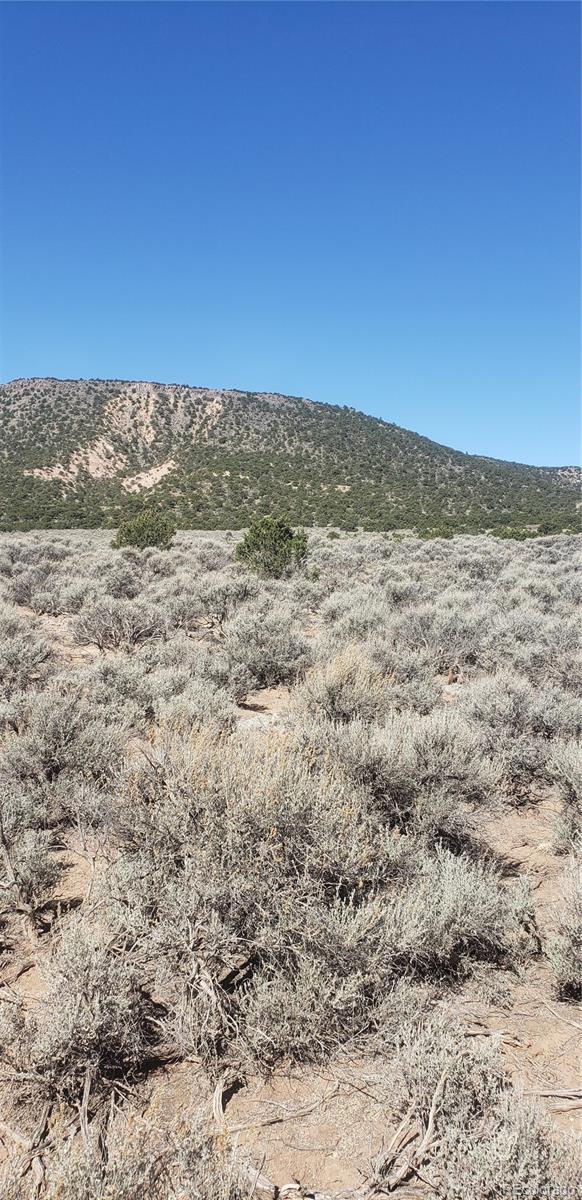Lot 589 County Lane 6