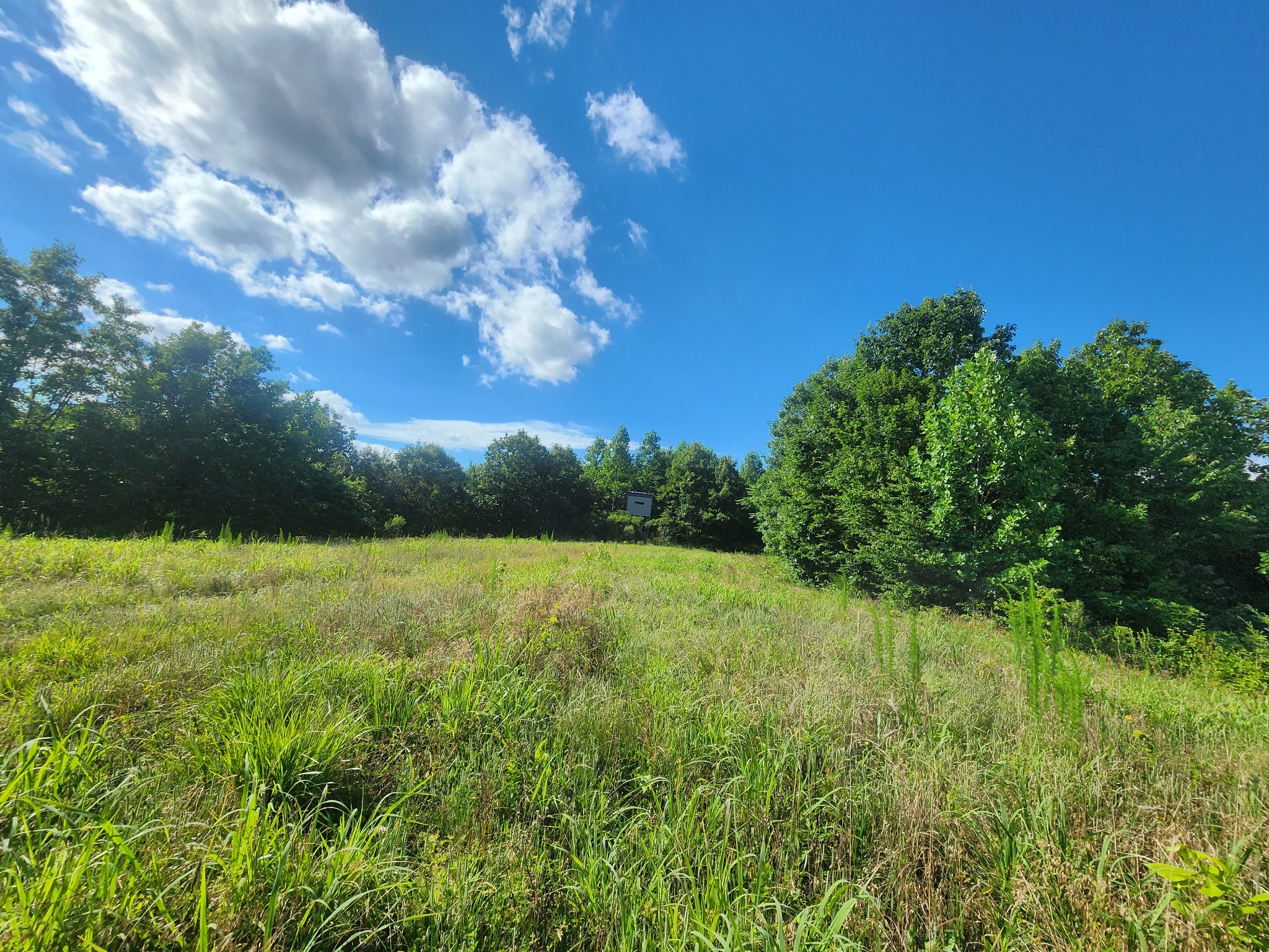 Prime Recreational, Investment Land, or Off-Grid Homestead, 507 +/- acres offered at $2,170 per acre with road frontage on Sinking Creek Rd.  Land features a diverse landscape of hardwood forest, pine, open spaces, Serene valleys and multiple spring-fed creeks. Improvements include: expansive trail system, fields, and hunting box blinds.Recreation and Wildlife:The land supports a flourishing population of Whitetail deer, & Wild Turkey.There is Investment & Development Potential:Turnkey hunting property, Off-Grid Homestead, or a Multi-family compound.Approximately 15 miles to Hohenwald TN Approximately 11 miles to Linden, TN Approximately 72 miles to Franklin, TNApproximately 90 miles to Nashville