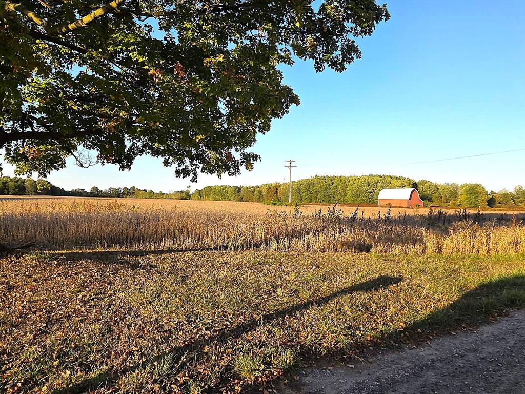 *AUCTION* Land Sale. Parcel 1 of 4 Parcels being sold in auction October 29, 2025. Please see https://www.spauldingbid.com/Public for more information.To view this property please join us October 15th and 20th from 3pm to 4pm open house style viewing.Mostly tillable land great for farming or for building that dream home while having the agriculture exemption. Approximately 15 acres of wooded land to enjoy your hunting adventures. Parcel 1 is 80 +/- acres being auctioned at the same time as a 78 +/- acre parcel (2), 15 +/- acre parcel (3) and a 43 +/- acre parcel (4).
