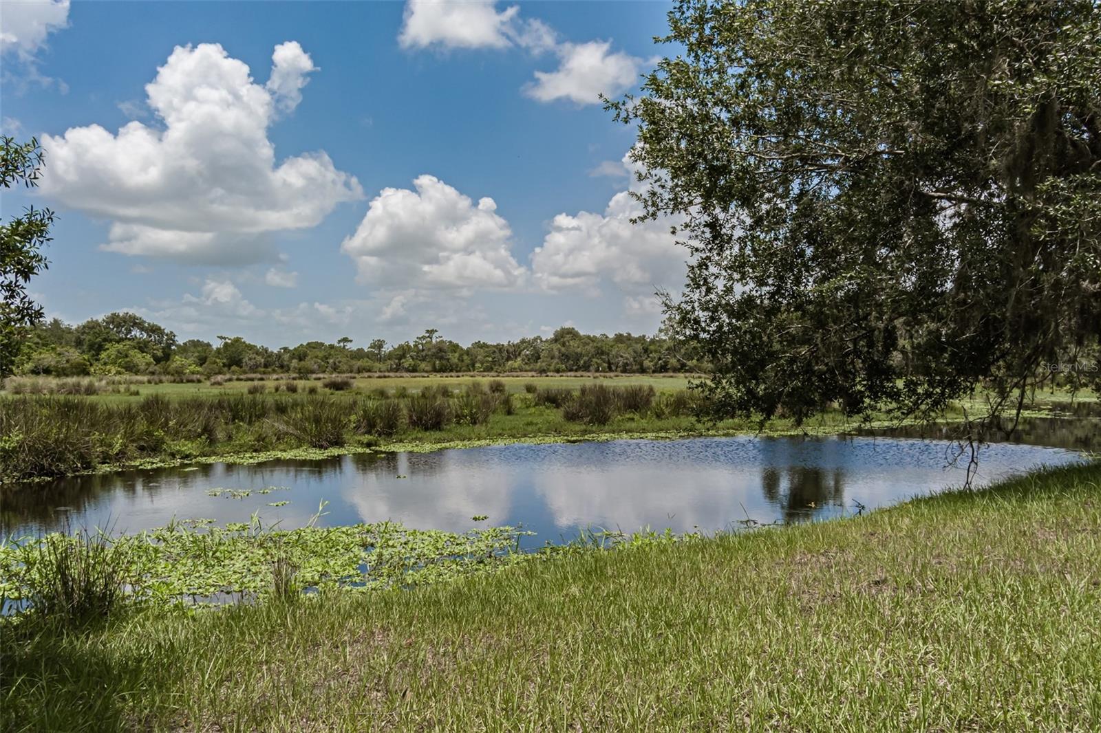 43355 Clay Gully Road