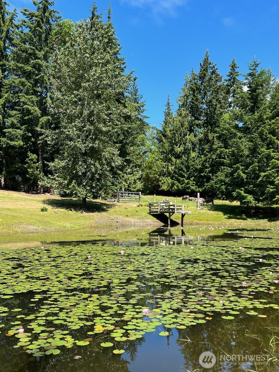 6529 Key Peninsula Hwy NW