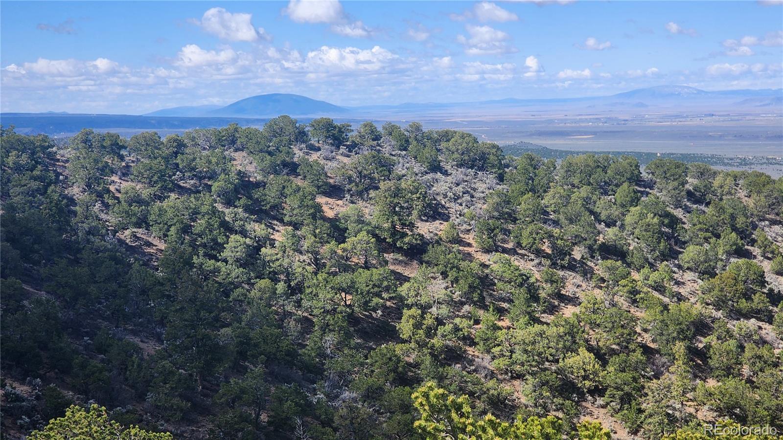 5040 & 5041 Mamouche Road