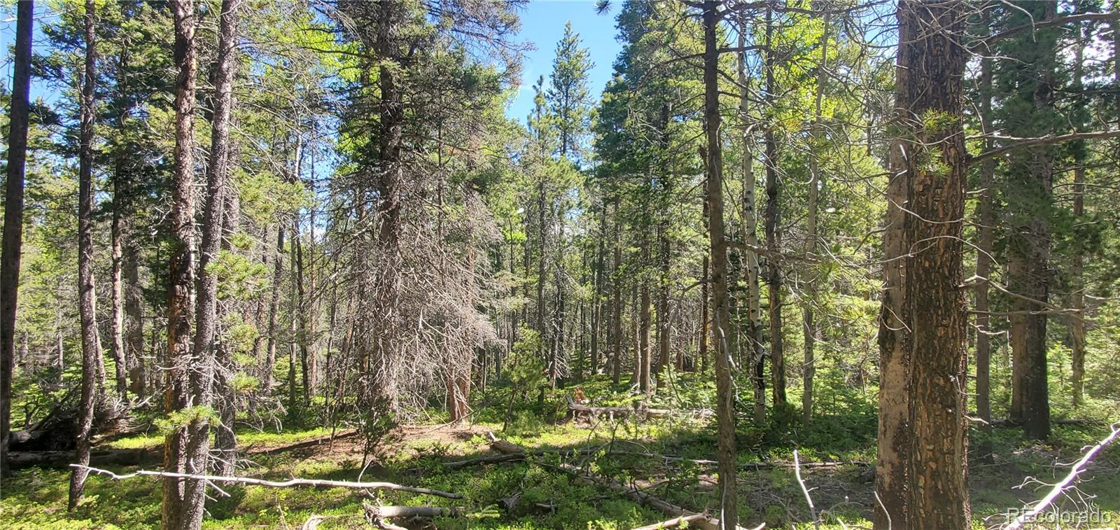 Lot 2914 Forbes Loop