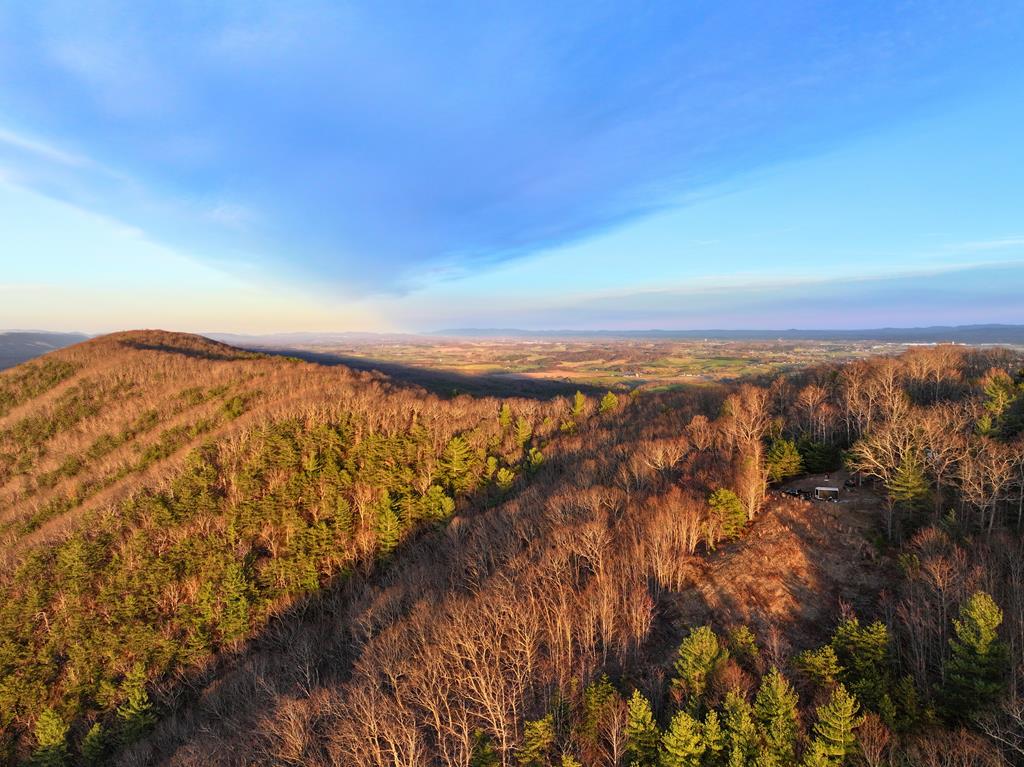 From pine-lined paths to towering oak trails, this 99.75+/- acre mountain property captures the true essence of Southwest Virginia land, stretching from the ridgeline into the quiet valley of the Walker Mountain range while offering a private, buildable setting with strong multi-directional views. Perched along a scenic edge, a cleared potential build site provides a natural vantage point overlooking the Big Walker Mountain range & surrounding valley, where layered ridgelines extend toward Jefferson National Forest and, just over the hill, give way to sweeping farmland views in the direction of Pulaski. Whether envisioned as a primary residence, hunting retreat, or long-term investment, the land carries both immediate usability & future value, supported by a diverse timber mix of oaks, maples, hemlocks, & scattered pines that create a healthy habitat for wildlife. Trails wind naturally from peak to valley, allowing you to move through the property with ease, & recent road improvements have enhanced access without taking away from the property's secluded, mountain feel. With only two tracts separating the property from the Jefferson National Forest, the setting benefits from both privacy & expanded recreational potential. As the terrain falls into the holler, a spring-fed creek begins to shape the landscape, where shaded ground, cooler air, & the tranquil sound of water moving over well-worn stone create a place that feels removed from the fast pace of everyday life, quiet with the exception of the wind whistling through the timber & birdsong carrying across the ridges. Wildlife sign is consistent throughout, including deer, turkey, & bear, with the natural layout of the land supporting strong movement patterns for hunting or recreation. Beyond the property, Little Walker Creek is just minutes away for additional fishing opportunities, while the overall location keeps you within easy reach of the town of Pulaski, I-81, Blacksburg & Virginia Tech, & Roanoke.