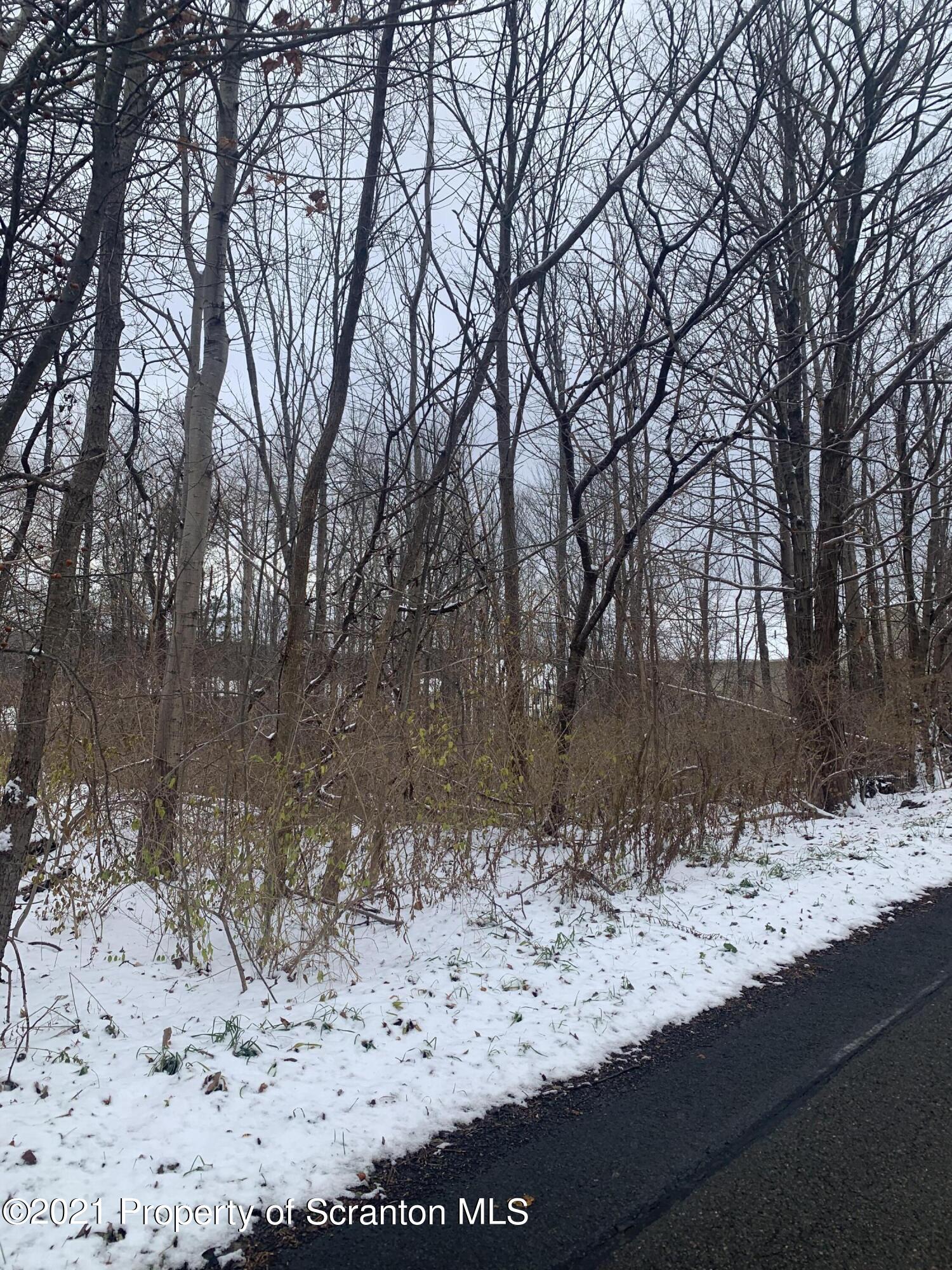 Griffin Pond Road