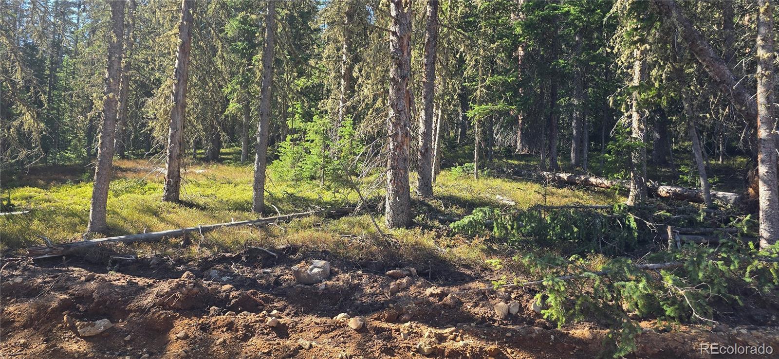 Lot 6515 Doyle Road
