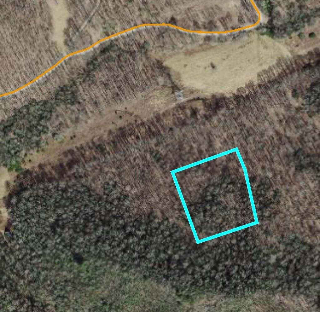 This private 2.35-acre parcel of unrestricted land borders USFS property, offering plenty of space and privacy. There are currently no utilities on-site, and a driveway will need to be installed for access.