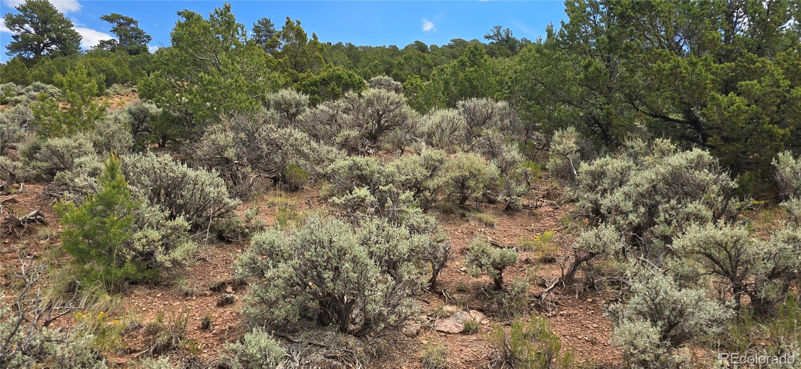 Lot 4401 Melcarth Road