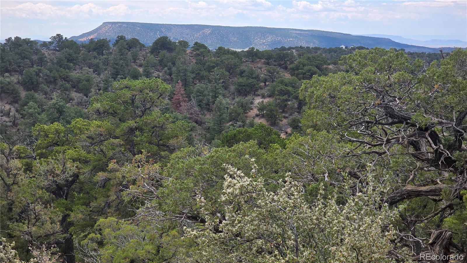 Lot 4024 Heritage Road