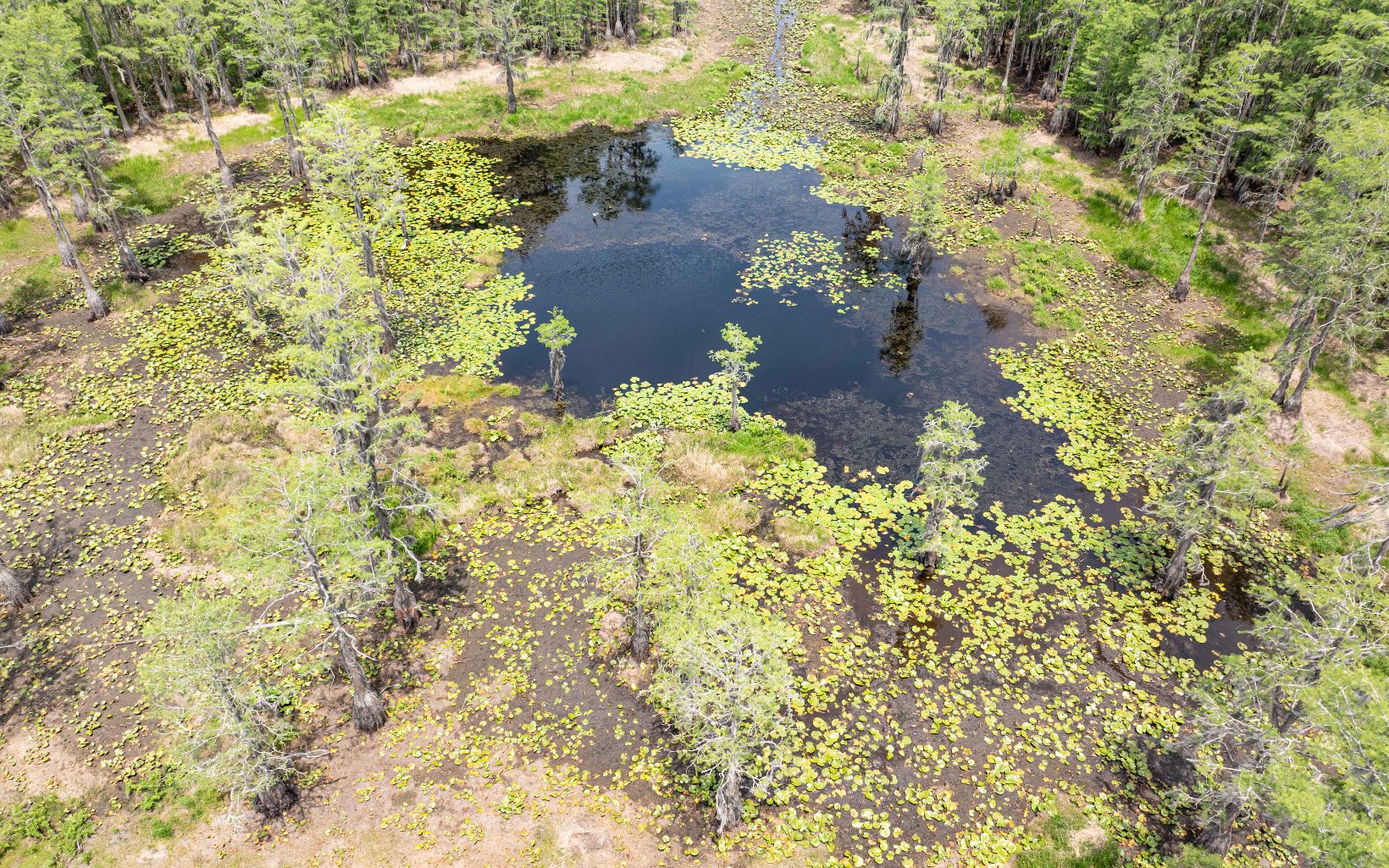 1285 SE Koon Lake Rd