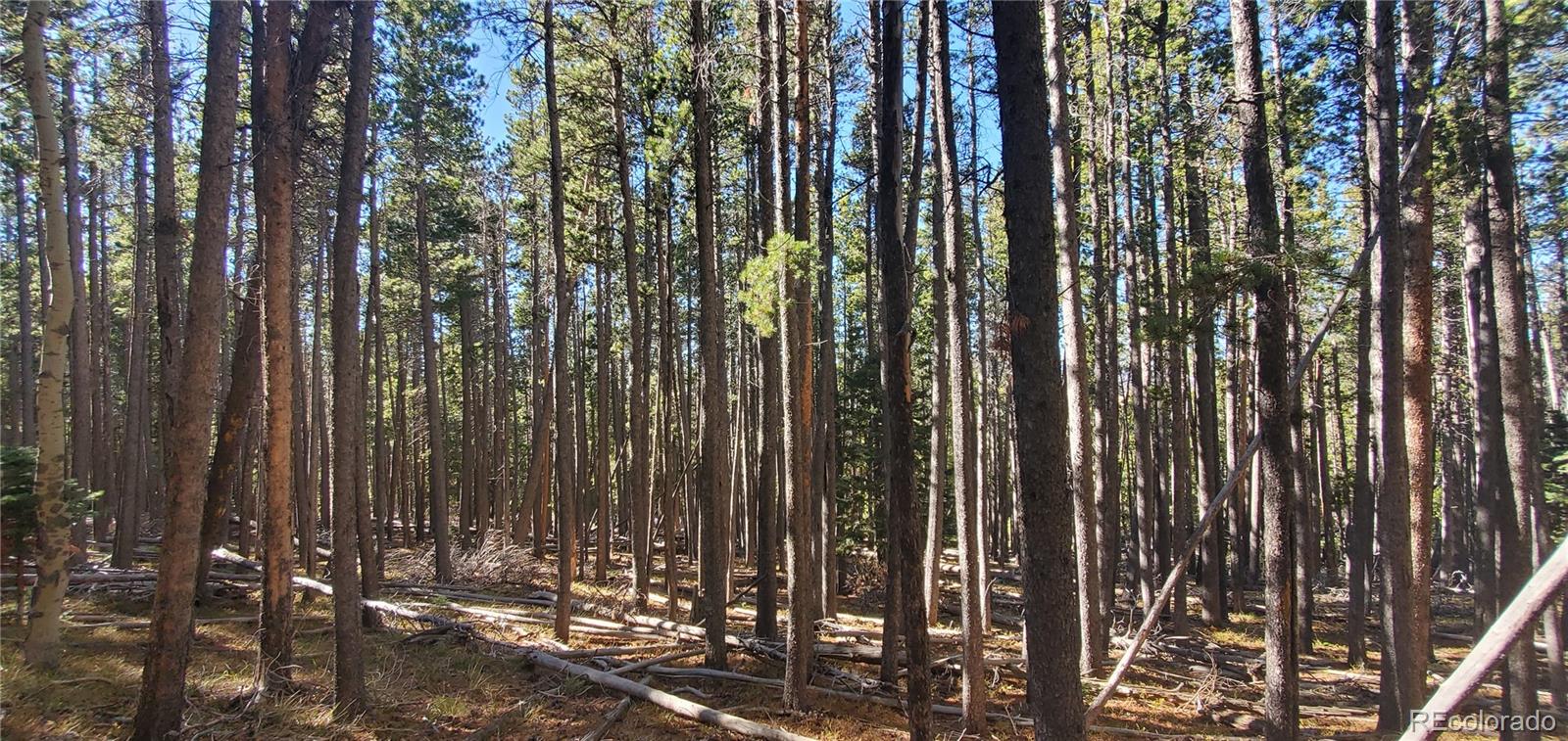 Lot 2682 & 2683 Purnell Lane