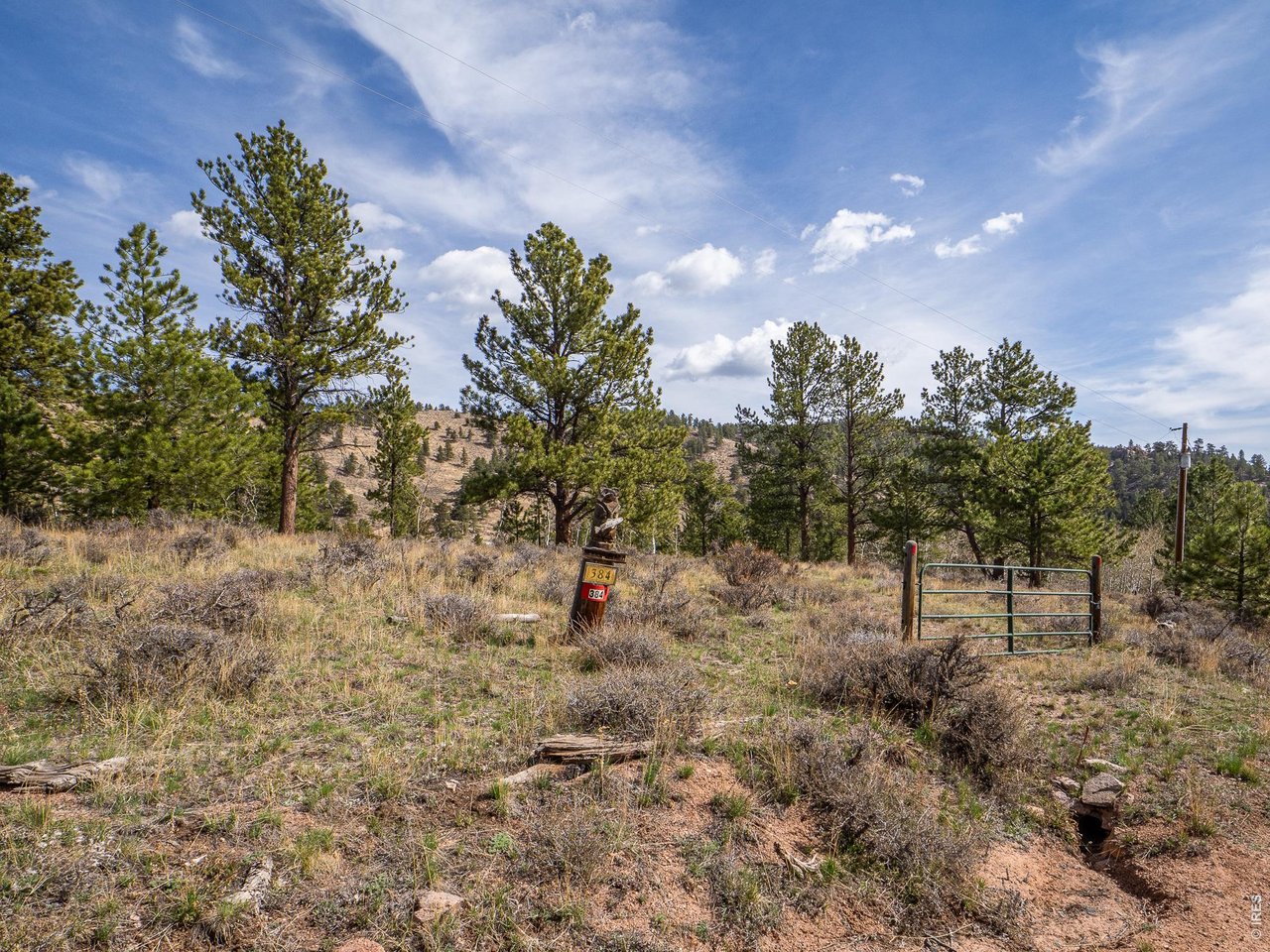 384 Ute Ct