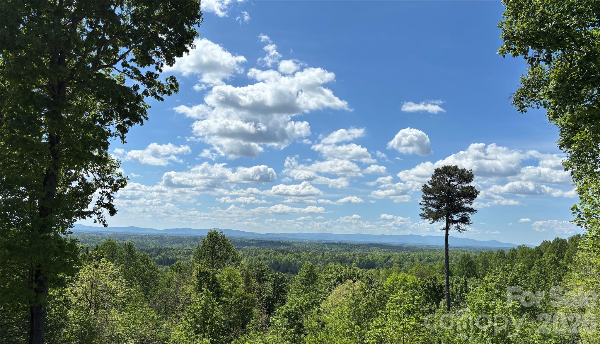 1234 Johns Ridge Parkway 204DE