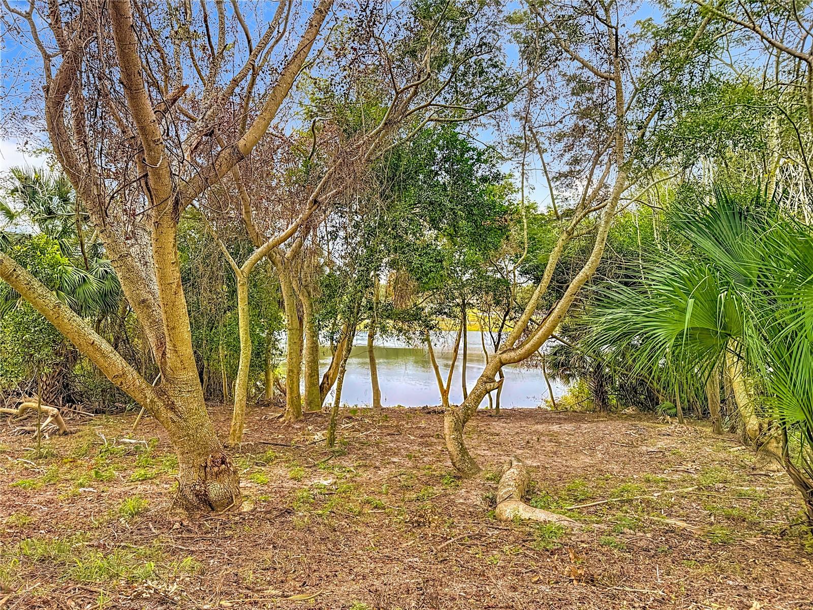 697 Winding Lake Drive