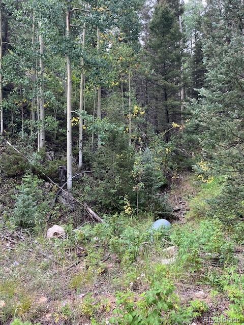 Lot 6184 Ryland Road