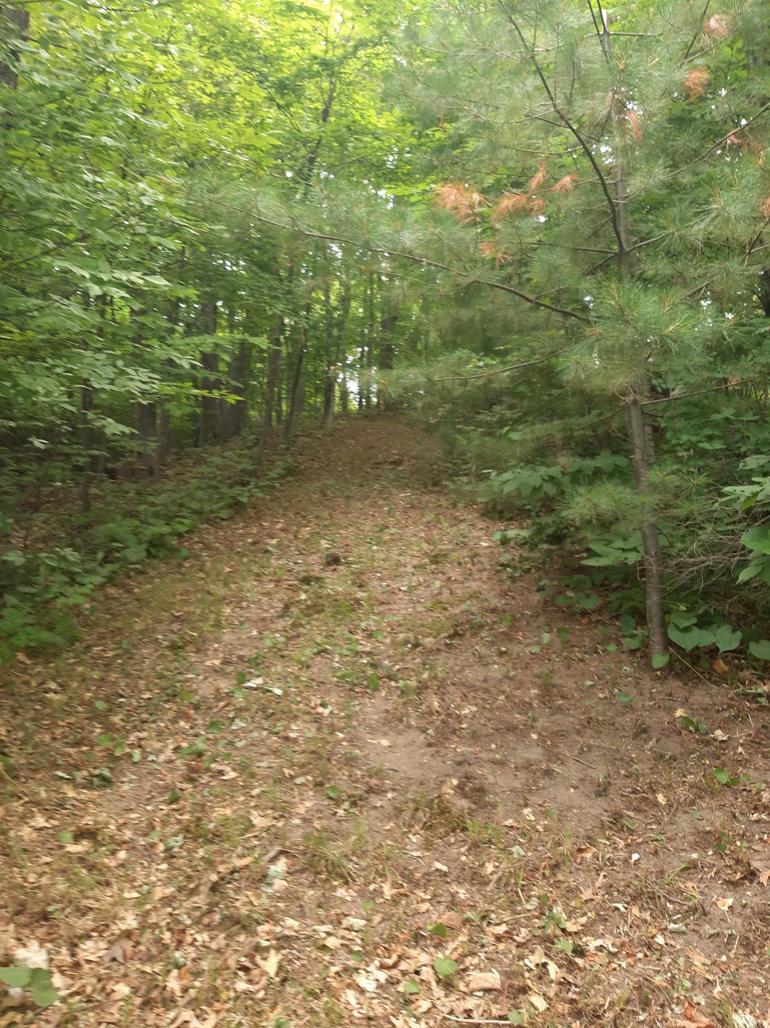 9879 Maple Ridge Road