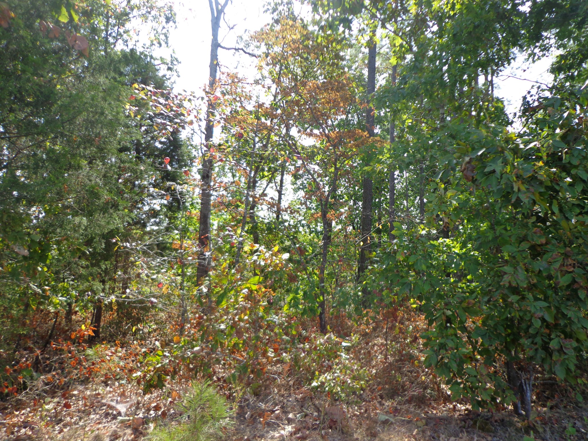 0 Tennessee Ridge Road