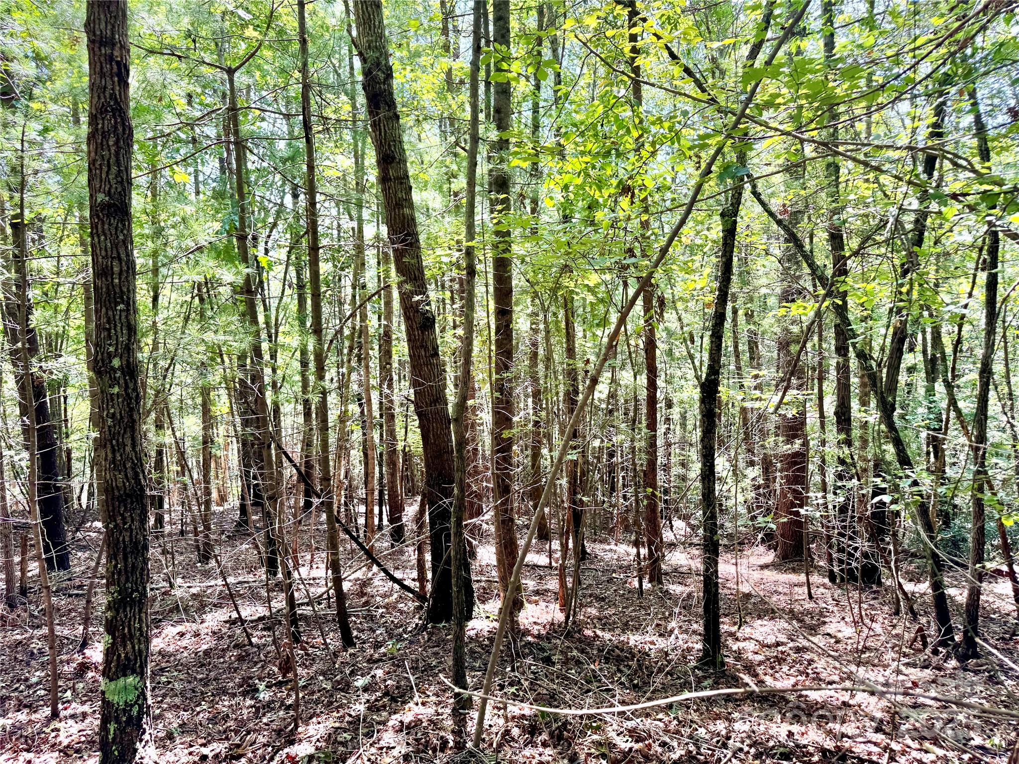 3.31 acres, Lot 37 Poplar Bluff Drive SE 37
