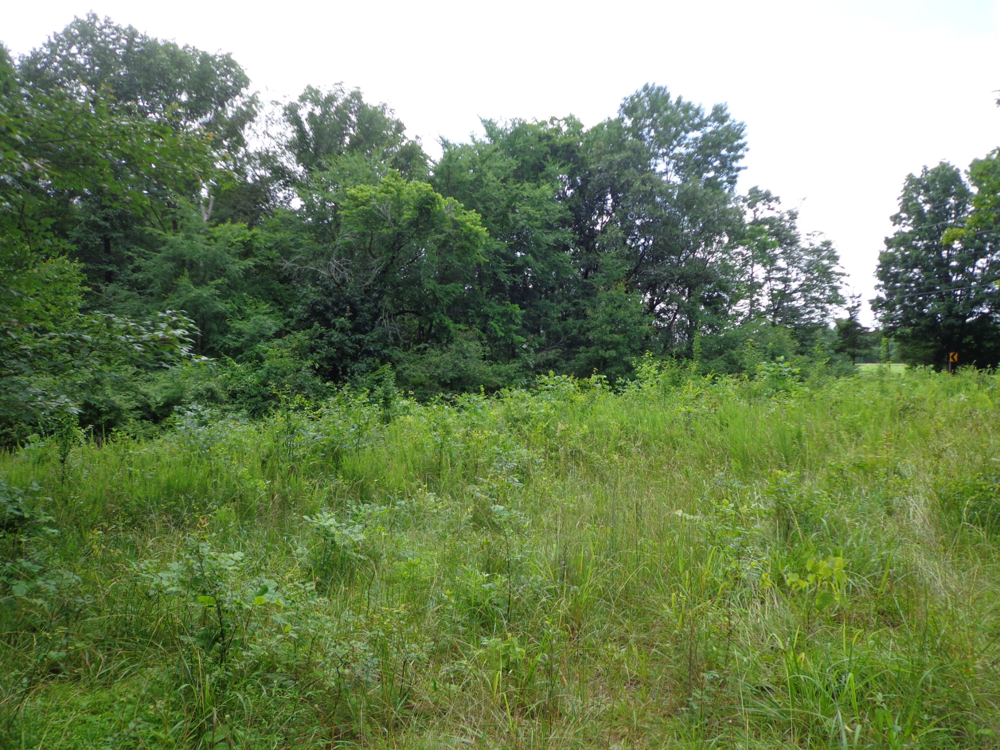 2625 Old Blacktop Rd
