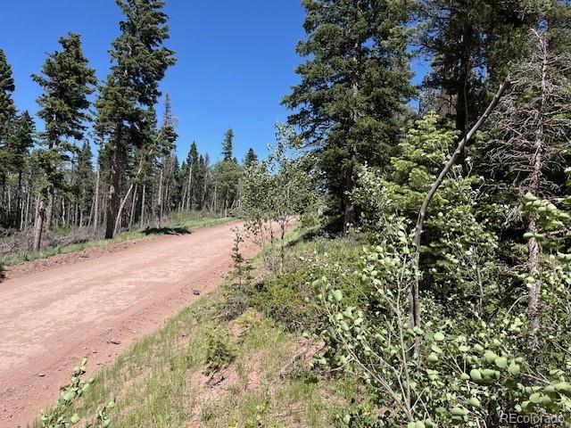 Lot 2449 Petito Drive