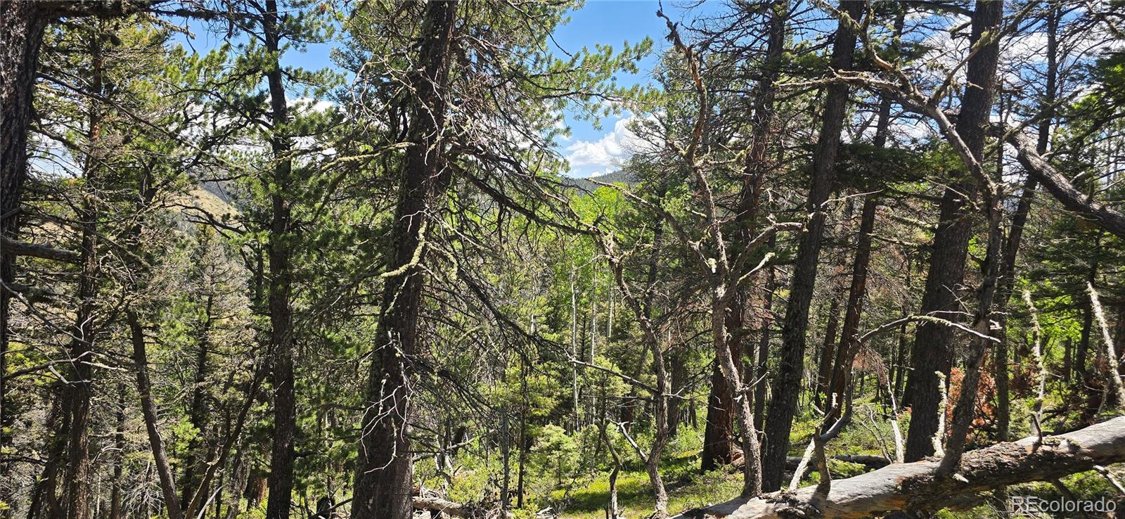 Lot 5546 Balleroy Road