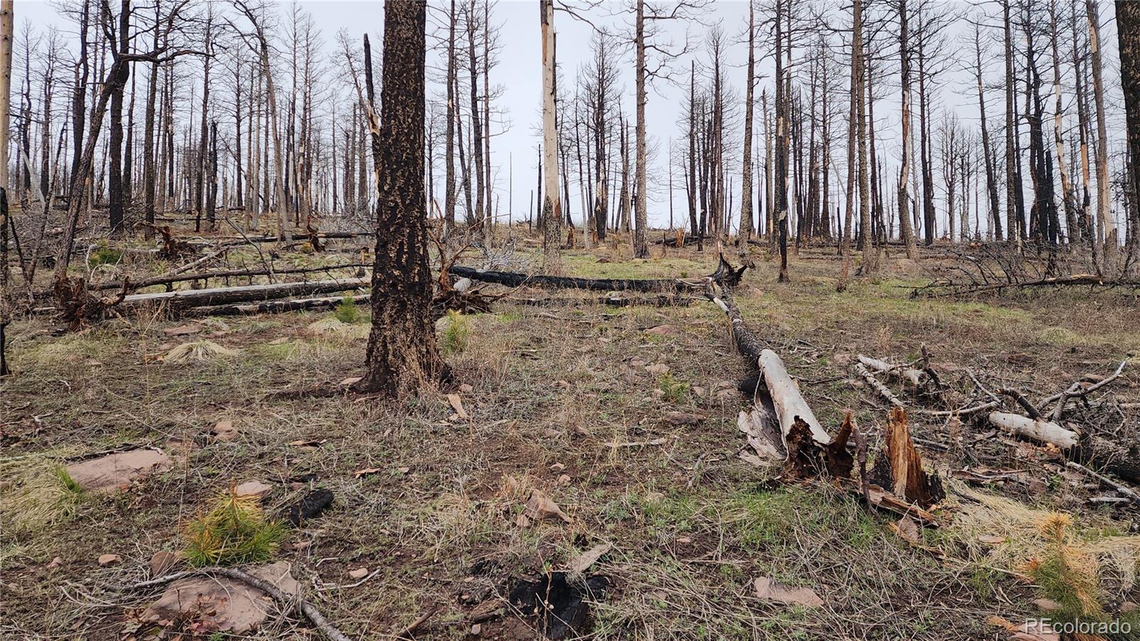 Lot 1735 Mara Loop