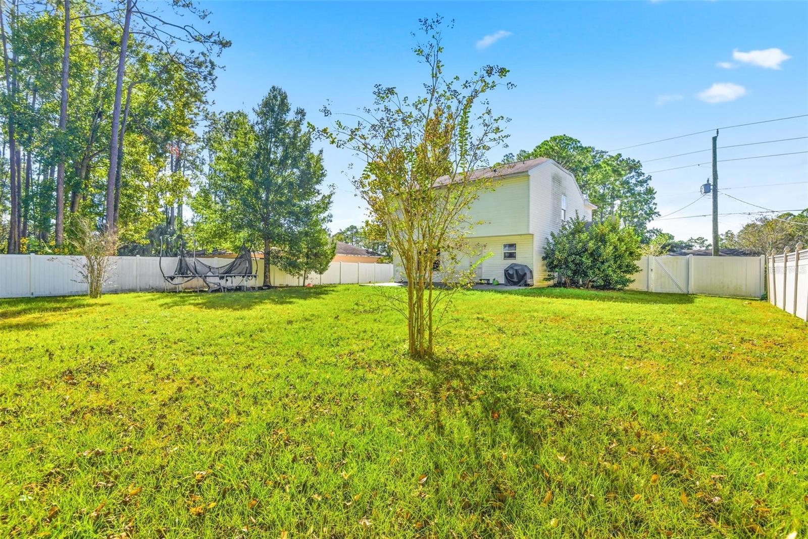 51 Birchwood Drive