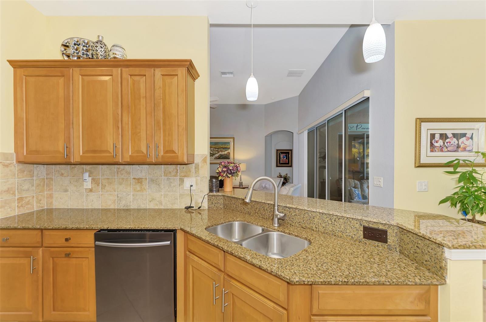 13091 Preserve Court