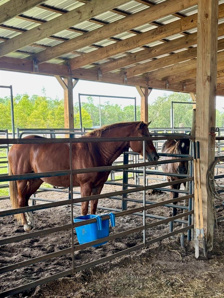 1126 & 1144 County Road 665