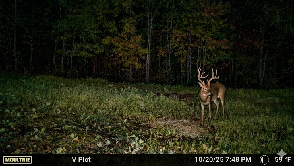 189 Acre Off-Grid Whitetail Paradise |  Buffalo, TNWelcome to the ultimate outdoorsman's retreat. This sprawling 180+ acre property is a turnkey haven built for premier whitetail deer hunting. Offering unmatched privacy and rugged beauty, it delivers everything you need for a legendary camp.The Land & HuntingTrophy Whitetail Hunting: Expertly managed for mature deer and turkey, featuring comfortable hunting box blinds overlooking lush, well-maintained food plots.Plentiful Water: Natural springs, year-round creeks, and established watering holes hold wildlife on the property all year long.Refuge Frontage: Directly adjoins a National Wildlife Refuge. This massive, protected sanctuary acts as a natural funnel, feeding unpressured game onto your land.Excellent Accessibility: The entire tract is easily accessible throughout via a highly maintained road and trail system. Navigate from the front gate to the back property line in a truck or UTV with ease.Off-Grid BasecampTucked away in the timber is a rustic "Off-Grid Cabin." It serves as the perfect, quiet basecamp to warm up and swap stories. While completely off-grid, the cabin is set up to be easily powered by a generator—providing the comforts you need without the monthly utility bills.Ideal LocationEasy Access: Conveniently located near Interstate 40 for a smooth, accessible trip to camp.City Proximity: A straightforward drive to Nashville, making it an ideal escape for weekend warriors.Water Recreation: Close to the Tennessee River and Kentucky Lake, offering world-class fishing and boating when hunting season closes.