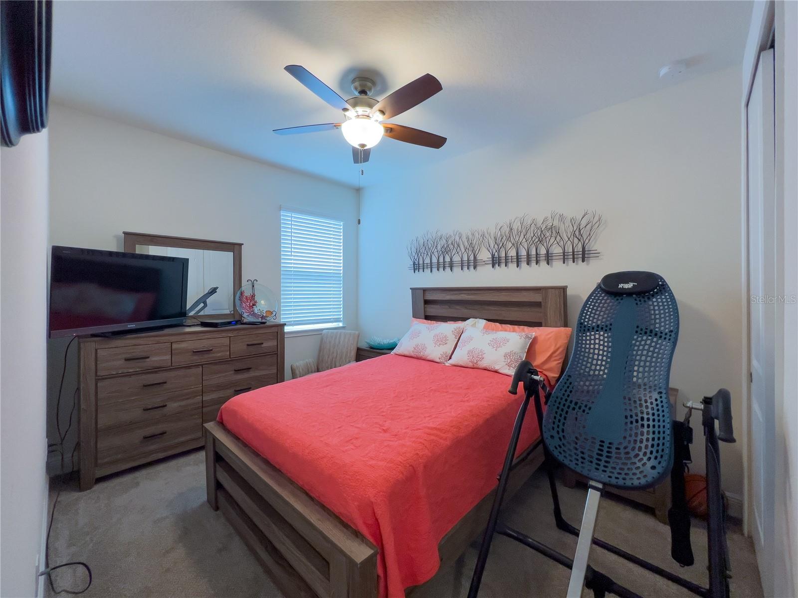 13102 Satin Lily Drive