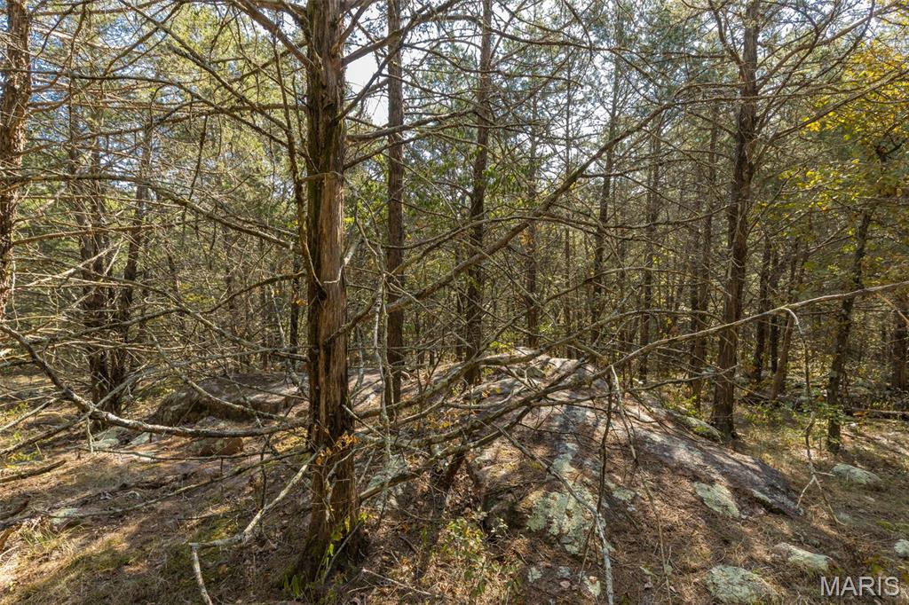 12.5+/- Acres On Effin Road