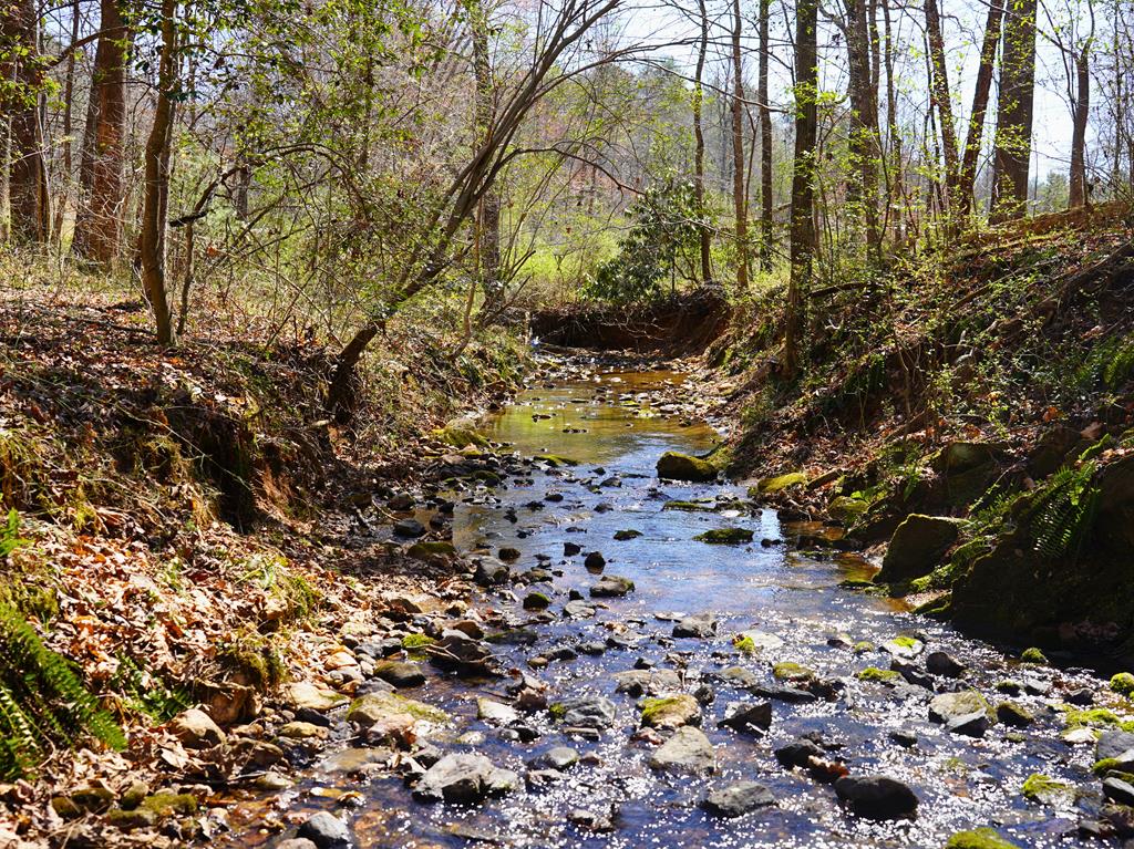 Tucked away at the end of a quiet stretch of Flatridge Rd & just over 1 mile from the NC-VA border as the crow flies, this 17.89+/- acre tract in Cana, Virginia offers privacy, versatility, & natural beauty. With ~1,000' of paved state road frontage & a dead-end setting, you get easy access without sacrificing peace & seclusion. A new 2025 survey & perc test are already in place, giving buyers a strong head start, whether the plan is to build, subdivide, or hold as a long-term investment. The land opens with a wide, level ridgetop along Flatridge Rd, making it easy to envision multiple build sites with minimal prep work. This portion of the property is covered in a healthy mix of oak, poplar, & pine, creating both aesthetic appeal & future timber value. As you move east into the property from the primary entrance on the western boundary, the terrain begins to transition, revealing increasing wildlife activity with well-traveled deer trails cutting across the hillside. The property continues to impress as it drops into a scenic creek bottom with ~600' of frontage, offering a unique setting with natural rock formations, shaded banks, & a relaxing atmosphere by the water. Beyond the creek, the land rises into mature hardwoods, including large poplar, with additional opportunities for building, clearing pasture or food plots, or selective timber harvest. Old logging & farming roads, some bordered by stacked stone, add both accessibility & a sense of history. With no restrictions, this property adapts to your goals & is suited for a homesite, hunting property, retreat, or investment with subdivision potential. Positioned between Mount Airy & the Blue Ridge Parkway, you're ~15 min to Mount Airy,