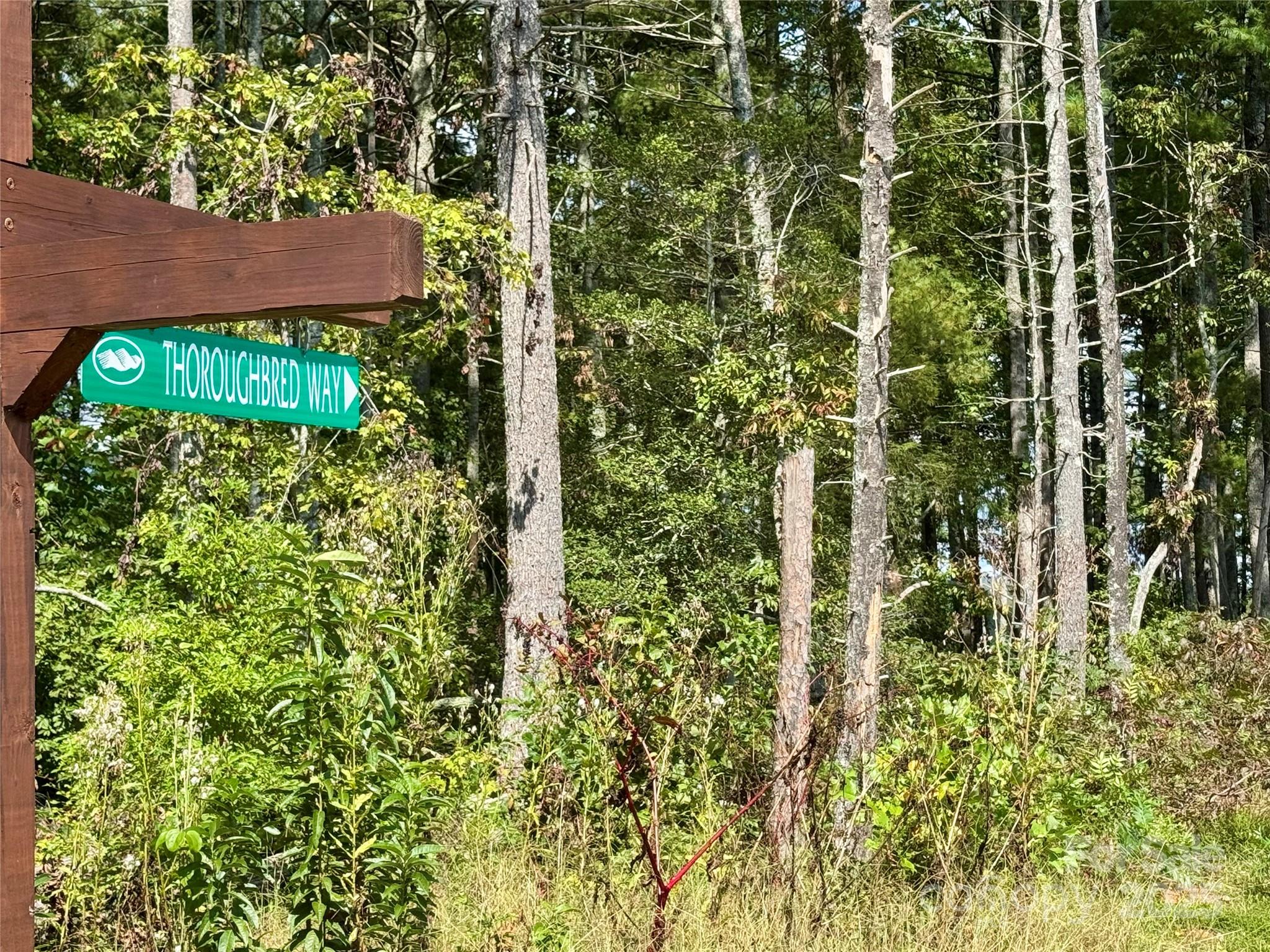 2088 Thoroughbred Way Lot G25