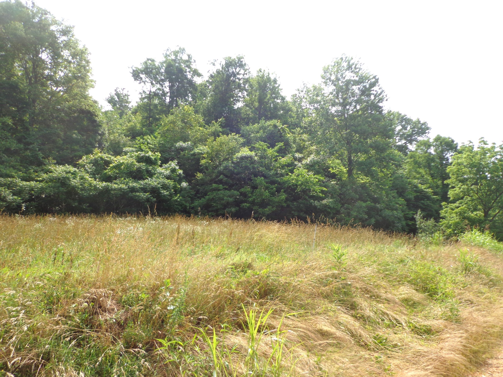 1342 Russell Creek Rd