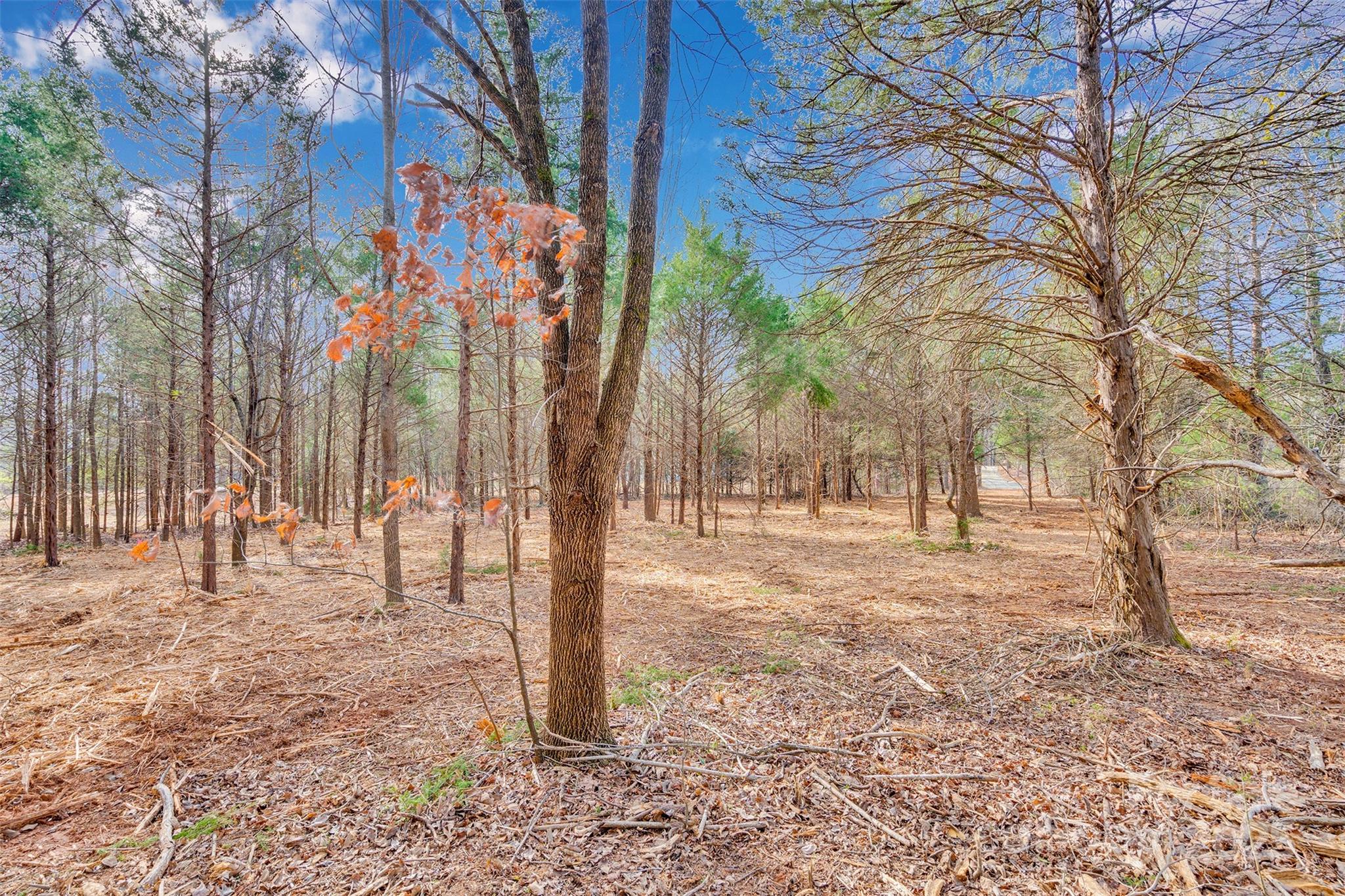 10712 Connell Road 3