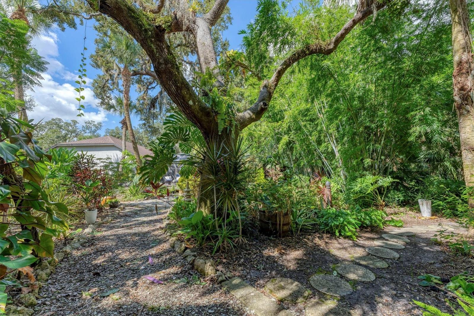 8704 Misty Creek Drive