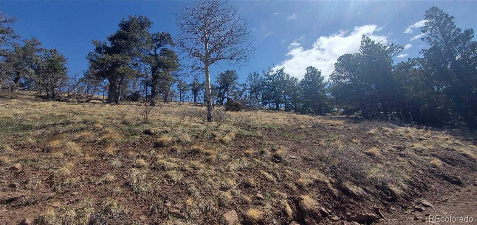 Lot 2740 Newman Place
