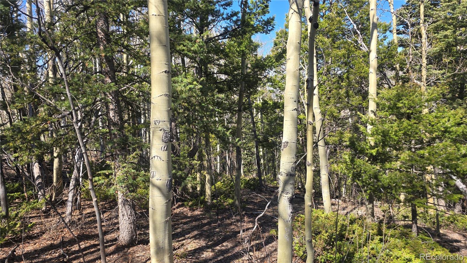 Lot 6708 Debbie Road