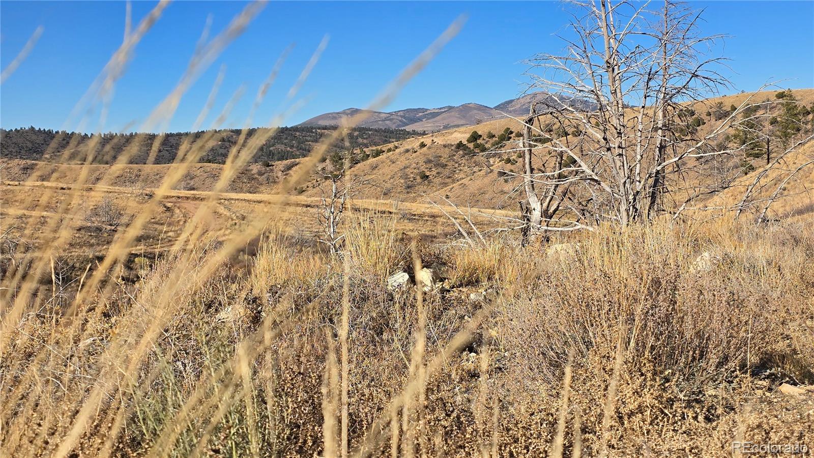 7741 Van Giesen Road